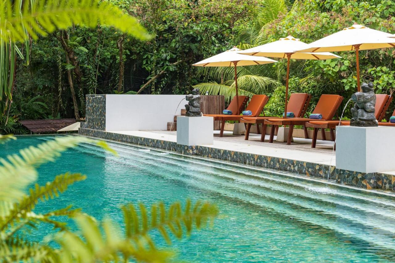 Thalassa Dive & Wellbeing Resor Manado