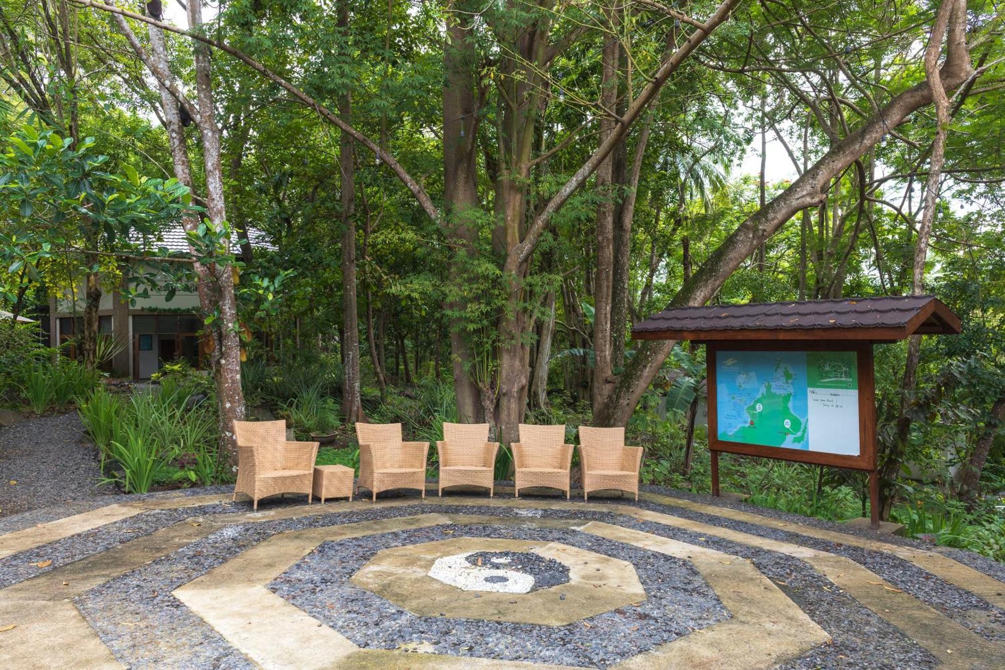 Resor Thalassa Dive & Wellbeing