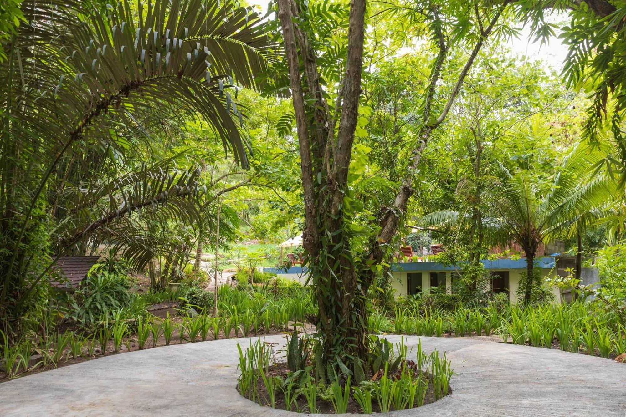 Thalassa Dive & Wellbeing Resor 3*
