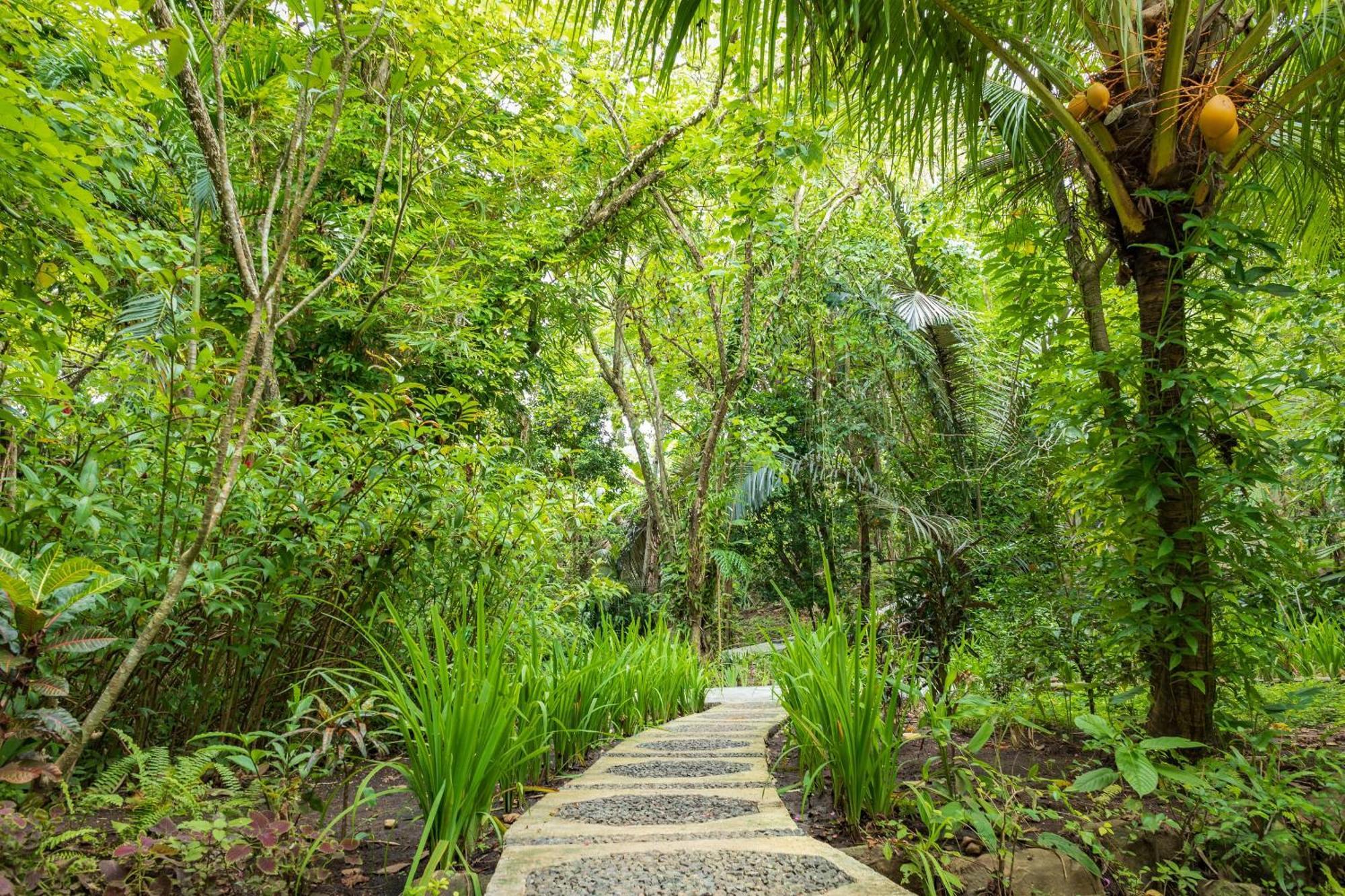Thalassa Dive & Wellbeing Resor